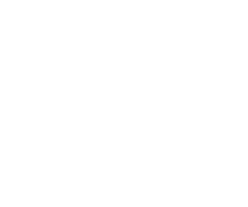 Borba Serviços